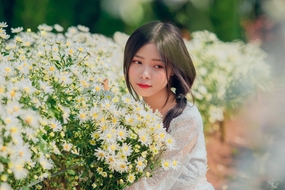 唯美白色小雏菊花海美女写真摄影图片